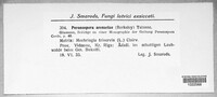 Image Associated With the Occurence